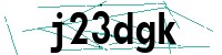 Security verification captcha