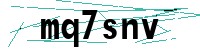 Security verification captcha