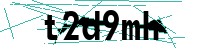 Security verification captcha