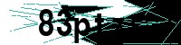 Security verification captcha