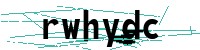 Security verification captcha
