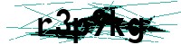 Security verification captcha