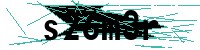 Security verification captcha