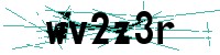 Security verification captcha