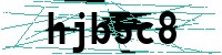 Security verification captcha