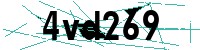 Security verification captcha