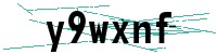Security verification captcha