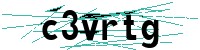 Security verification captcha
