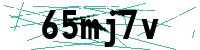 Security verification captcha